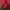 Colorbox photo 3