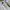 Asics Gel GT - 2160 x DIME photo 4