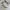 Asics Gel GT - 2160 x DIME photo 2
