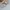 Asics Gel GT - 2160 x DIME photo 1