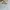 Asics Gel GT - 2160 x DIME photo 3
