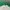 Chrome Hearts Y2K Luxury Hat Pria white green photo 2