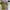 Casual Indie Casual shirt Pria yellow white photo 1