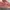 New Balance 1906L photo 6