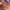 CASE IPHONE XR PRELOV photo 3