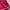 Hollister Streetwear Y2K Short Wanita pink photo 2