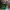 Air Jordan 1 Low Pine Green photo 2