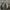 Nike Shox NZ EU Black size 41 photo 4