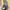 Sandal Dr. Martens Terry photo 5