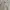 Louis Vuitton Jacket Winbreakers Monogram photo 2