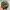 DAYSTONE X MOSSY OAK REALTREE CAMO photo 3