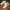 nike shox r4 white  photo 2