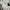 Apple Watch S9 - Midnight - 45mm - Sport Band M/L