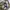 One set Rugby Jersey Oversize - Pants & Jordan 6  photo 2