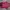 Vans Off The Wall Red Sneakers Unisex  photo 4