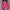 Vans Off The Wall Red Sneakers Unisex  photo 1
