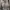 hoodie merchandise rex orange county photo 3