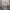 hoodie merchandise rex orange county photo 2