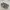 Vans checkerboard photo 1
