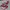 Vintage MLB Indians 2000s photo 5