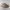 PALACE Streetwear Casual Hat Pria tan photo 2