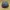 Snapback Corduroy  photo 4