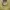 guitar acoustic sandstone photo 2