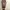 guitar acoustic sandstone photo 3