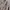 Japanese brand Streetwear Vintage Track jacket Pria tan photo 2