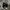 Converse chuck taylor 70s black  photo 1