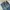 Levi’s original 501 straight leg button fly photo 4