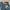 Levi’s original 501 straight leg button fly photo 6