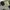 Crewneck Nike Air Max 1 Original oversize  photo 3