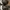 Air Jordan 4 Retro SE Craft Medium Olive photo 3
