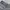 Grunge Coquette Jeans Pria gray photo 7