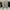 Back pack Smartbag 38L photo 2