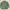 Antidot Studios Green Shirt photo 3