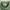 Antidot Studios Green Shirt photo 5
