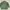 Antidot Studios Green Shirt photo 4