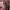 Maimoun aling bag fushia photo 1