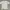 White Graphic T-shirt