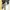 DRES PART 4 photo 5