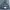 Issey Miyake Vintage Avant Garde Bomber jacket Pria navy gray photo 4