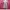 CARDIGAN OUTER photo 4