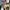 Avirex Streetwear Biker Casual shirt Pria green photo 7