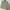 Avirex Streetwear Biker Casual shirt Pria green photo 1