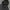 Hoodie Adidas Autenthic photo 1