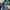 Adidas Sportswear Pria green blue photo 5