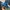 Adidas Sportswear Pria green blue photo 3