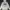 Hoodie Dickies Clear White Autenthic photo 2